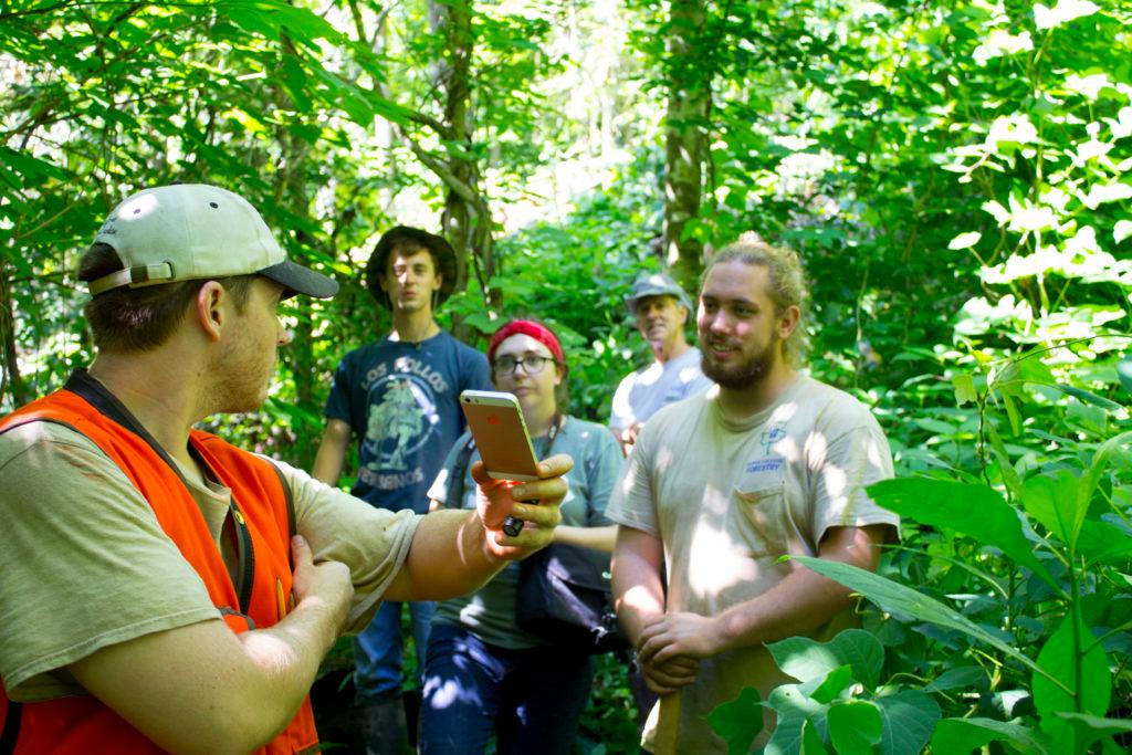 Invasive Species management